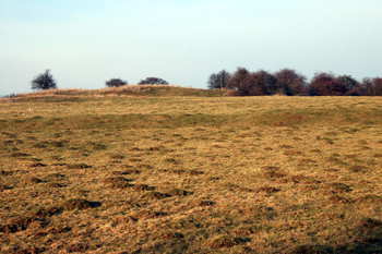 The ground rises towards the baileys March 2010